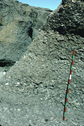 Photo of sample